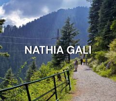 NATHIA GALI