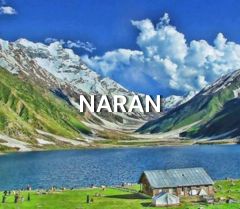 NARAN