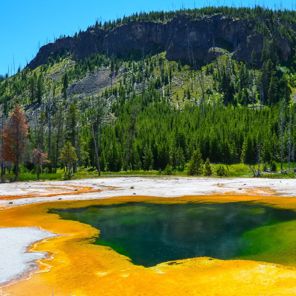 Yellowstone National Park