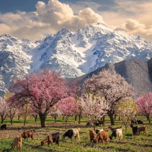 Hunza Valley