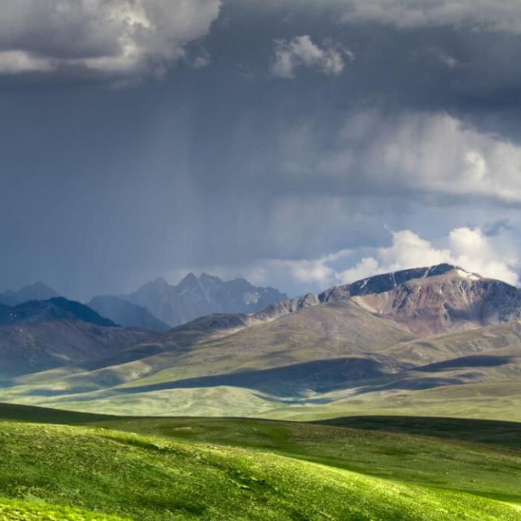 Siri Paye Meadows