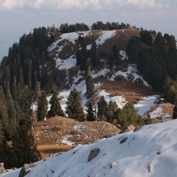 The Peak of Mukshpuri